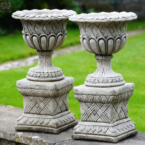 Pair vase urns plinth - of,