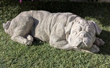 Sir Snuggles - Lying Down