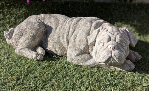 Sir snuggles lying down - snuggles,