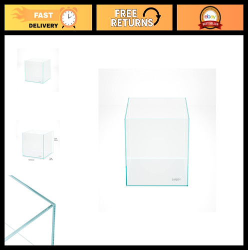 Gallon rimless low iron - rimless,