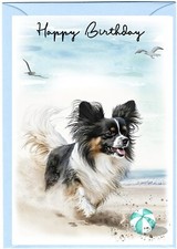 Papillon Butterfly Dog (4"x