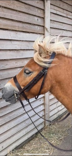 Hunter leather bridles small - hunter,
