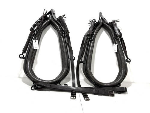 Horse driving harness pair - driving,
