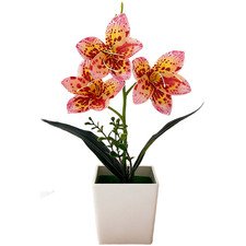 7.5 7.5 29 cm Realistic