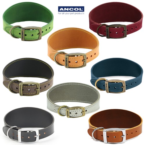 Dog collar whippet greyhound - collar,