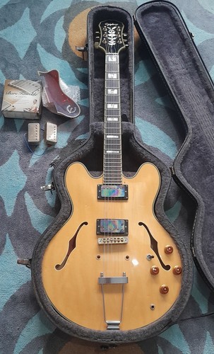 Mint epiphone sheraton - mint, 97