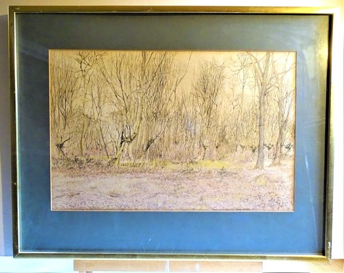 Original woodland watercolour