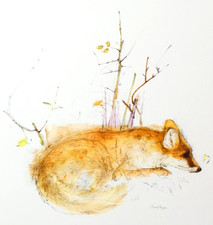 Mads Stage Wildlife Fox Print Illustration Danish Mid Century Art Paper