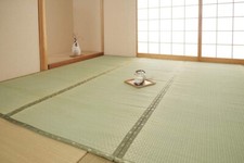 Tatami Mat Japanese Rush Grass Ikehiko Carpet Floor Shiranui Edoma 88×176cm 1jo