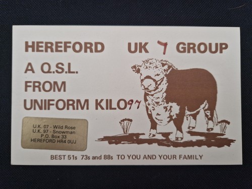 Hereford bull 1985 - -,