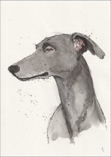 Original Signed Watercolour And Ink Greyhound Painting Dog Portrait Wall Art