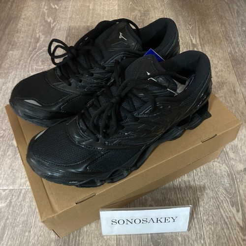 Mizuno wave prophecy - prophecy, ls
