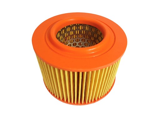 Air filter fits lister petter - filter,