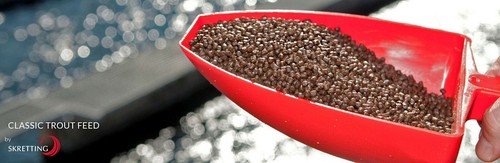 Skrettings brown trout pellets - skrettings,