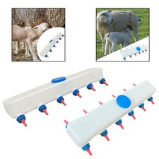 Lamb feed Bottle Feeder Farm