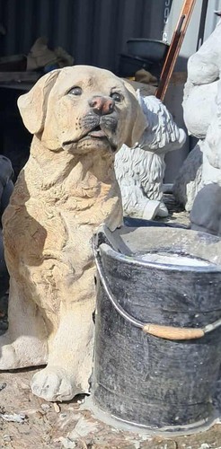 Latex and fibreglass mold - fibreglass, to