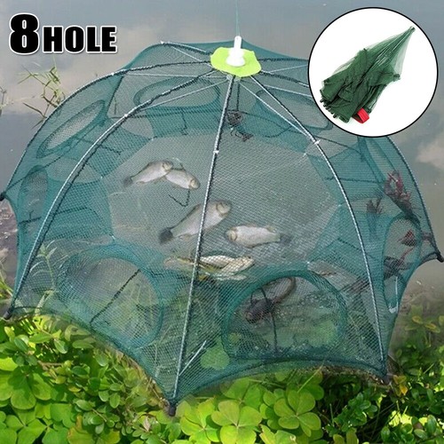 Holes fishing bait - bait, trap