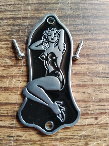 Pin truss rod cover - rod, metal