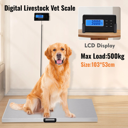 Digital vet scales animal - vet,
