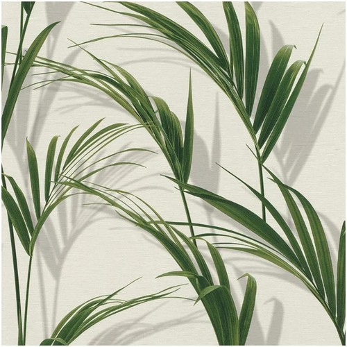 Shadow palm leaf wallpaper - palm,