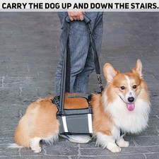 COODEO Mobility Dog Lift