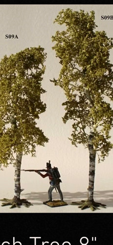 Gauge birch trees 8in - oo, 1:76