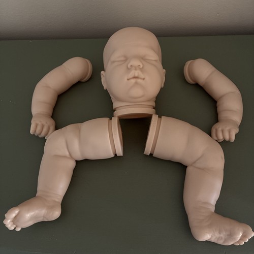 Bountiful baby reborn - 20",