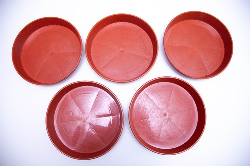 24cm saucers 9 12in - 5x,