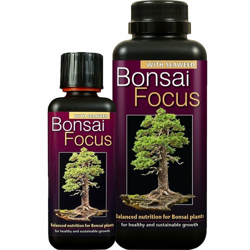 Bonsai focus liquid - bonsai,