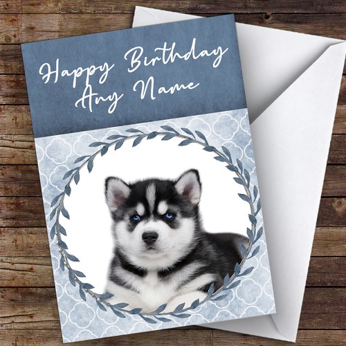 Siberian husky dog blue - dog, animal
