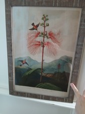 Oka India Jane STUNNING  ART