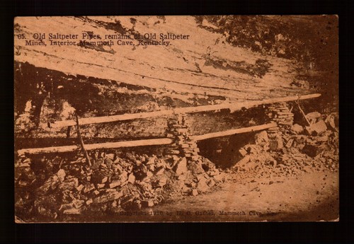 Postcard kentucky mammoth - kentucky,