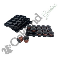 Plant Pots With Carry Trays