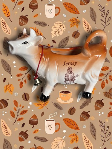 Vintage novelty ceramic - vintage, jersey