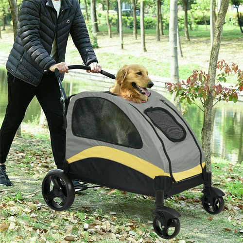 Gaint pet dog - pet,
