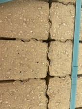 CONCRETE BLOCK PAVING MARSHALLS PRIORA PENCIL EDGE 200X100X80MM BUFF MIN ORDER 3