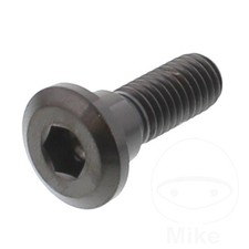 Brake Disc Screw M8X1.25mm