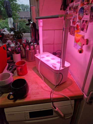 Pods hydroponics growing - pods,