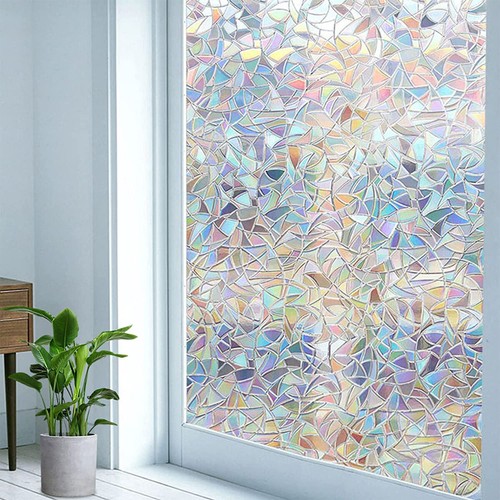 Tulip rainbow frosted - tulip,