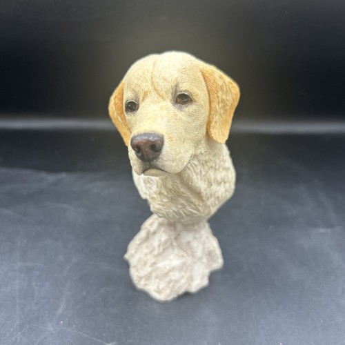 Sherratt simpson white - sherratt,
