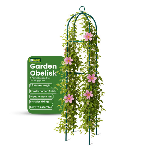 Garden obelisk outdoor - garden,