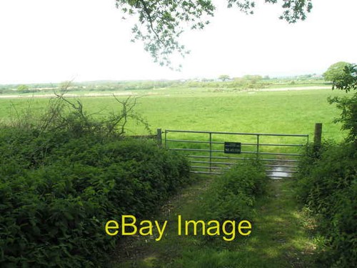 Photo 6x4 nature - 6x4,