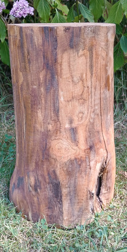 Tree stump seat log table