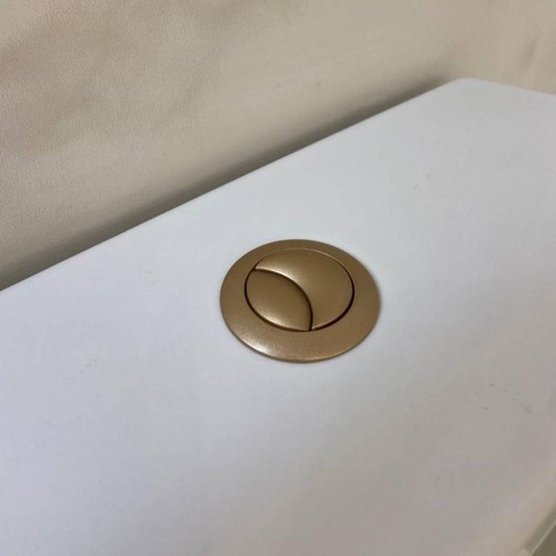 Matt brass dual flush - dual,
