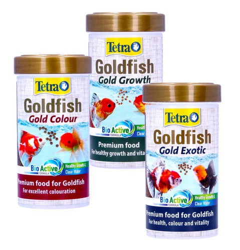 Tetra goldfish gold - tetra,