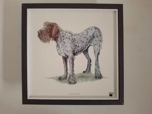 Bryn parry dog print - bryn, 'italian