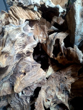 Derwen Oak Bogwood 24-83cm
