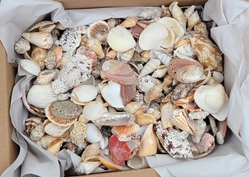 2kg mixed sizes - mixed, grades