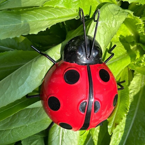 2pcs metal ladybird summer - 2pcs,