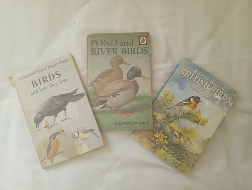 Ladybird books birds how - ladybird, of